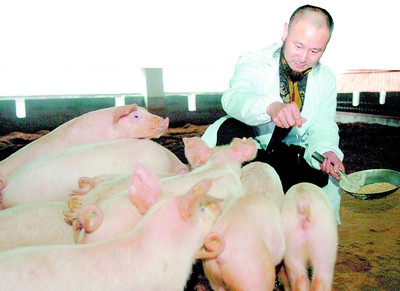 数字草场：解码生猪工业背面的“才智大脑”