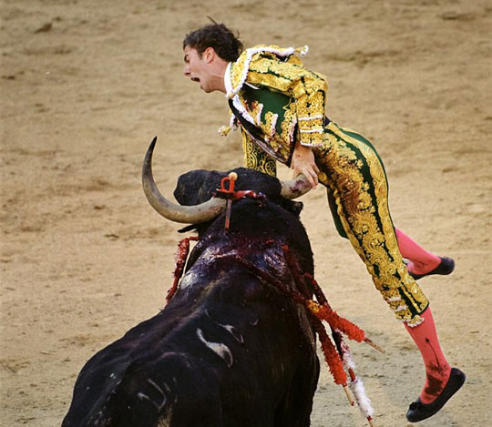 西班牙斗牛士失手被公牛扎出20公分伤口(图)
