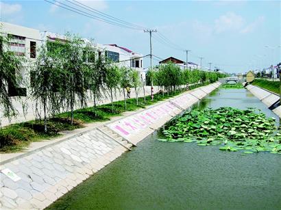 > 正文     走在监利县毛市镇老河村宽敞的公路上,只见蓝边白顶的路灯