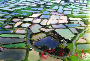 水乡，重回温柔梦