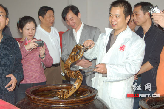 湖南县域经济杰出人物之永州有条美女蛇