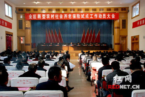 娄底市娄星区新型农村社会养老保险试点工作启