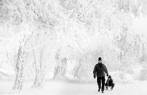 暴雪袭欧美 ◎美国东海岸至少5人死亡 各州展