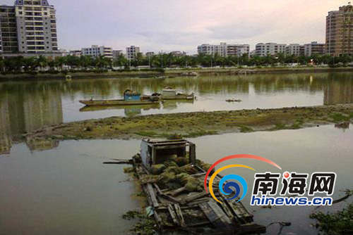 政协委员建议整治海口海甸溪河道杂乱船只