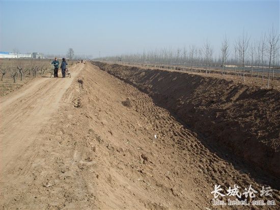 成安县强占耕地搞绿化 遇阻拦强行拘留