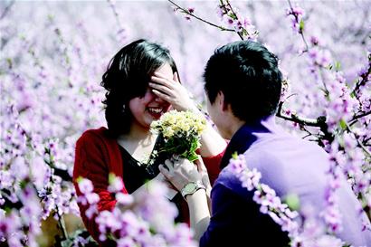 图文:桃花下绵绵情话