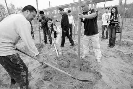 为弥补之前破坏黄河湿地，新《水浒传》剧组种下一百单八树——　“打虎将”扶树“潘金莲”培土