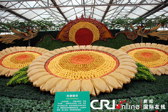 第十一届中国国际蔬菜科技博览会在山东寿光开