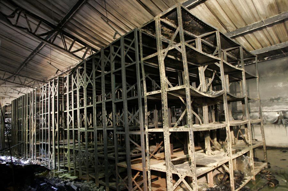 巴西大火焚毁全球最大毒蛇研究所 8万标本毁于