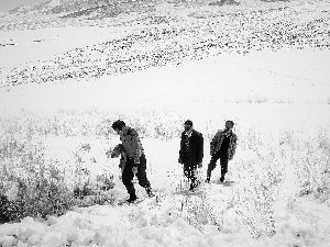 五月飞雪冻伤甘州 5月16日至17日降雪与冻害