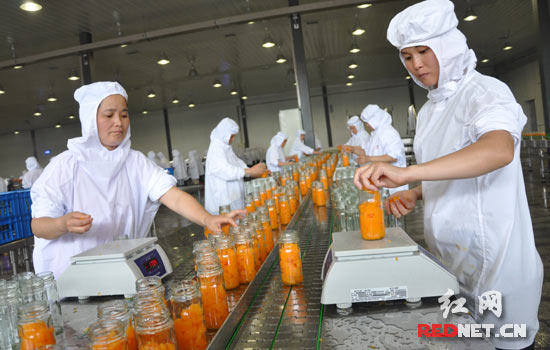 食品工业园一,二期项目竣工投产,全国首条全自动辣椒酱生产线也同时