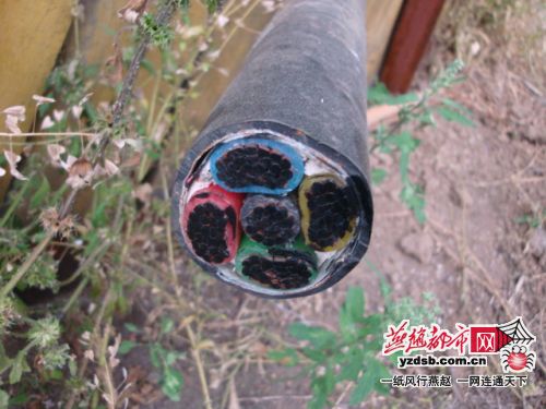 ǧ�׵��¼��ɰ����27�������������(ͼ)