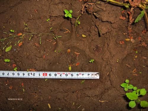 ������ӭ����ҵ�ַ���Ұ���������ټ�(��ͼ)