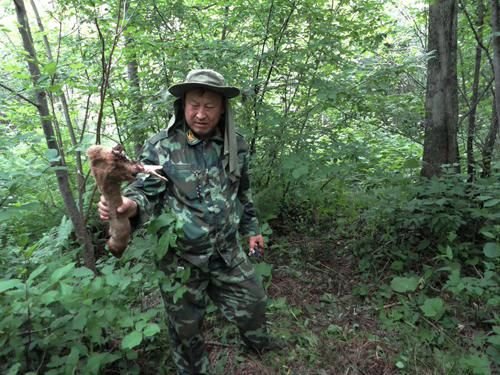 ������ӭ����ҵ�ַ���Ұ���������ټ�(��ͼ)