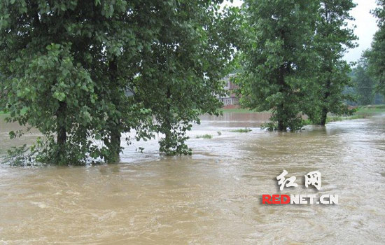 组图:新邵陈家坊镇农田遭洪水淹没