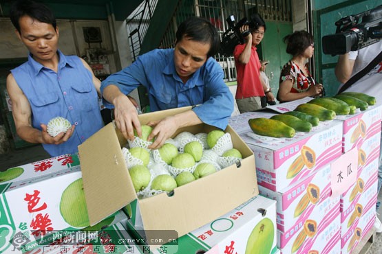 广西采购台湾水果陆续上市 价高量少瞄准高端