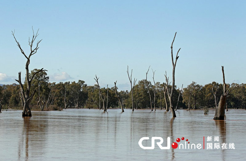 澳大利亚遭遇17年来最严重洪灾(高清组图)