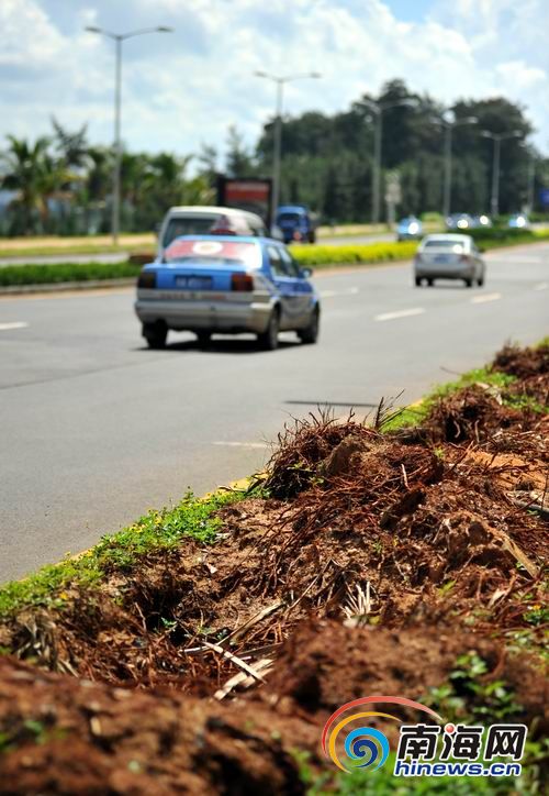 ���ڱ�����·˫�򳵵��ؿ�;���������Ƶ���ʻ