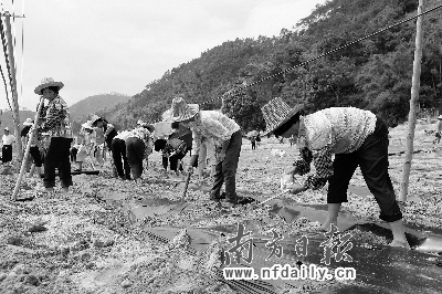 马贵大坡镇掀起复产重建热潮