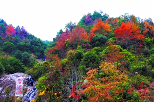 云髻山郁郁葱葱的树木已经开始长出红叶了