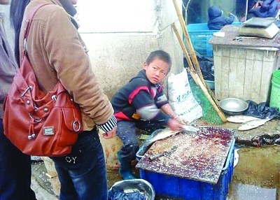 “杀鱼弟”，不是传奇故事而是社会悲剧