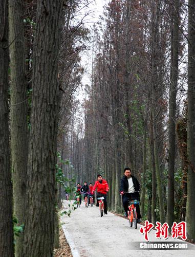 广东佛山绿道:创造乡间休闲和体育竞技之道