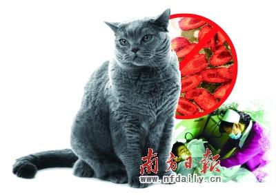 ר�һ����Ȯ����������ͯ