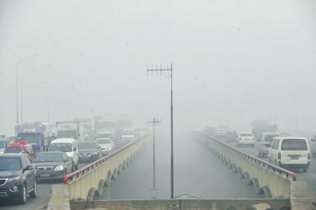 ѩ����������