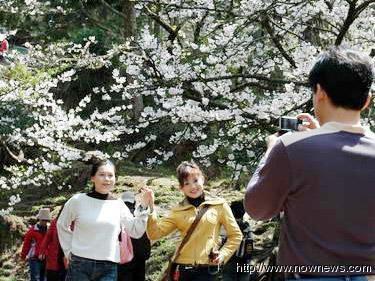 ����ɽ�³�������ɷ����������ɽ�����