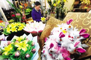 �ʻ�ӭ����