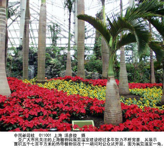亚洲最大展览温室在上海向公众开放