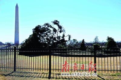 ��紵����������ʥ����