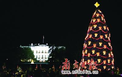 ��紵����������ʥ����