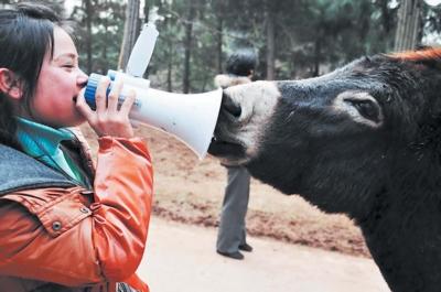 ���͵ĸ�������