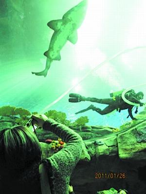 էů������������