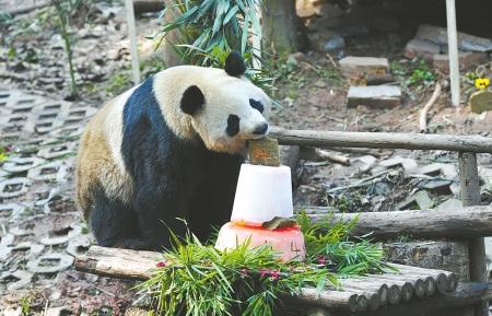 ���漣����è����4��5����׼���ɡ�����˭��