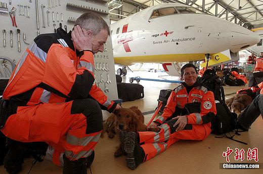 �ձ����𲻶���ʧ�޴������ᡰ����������