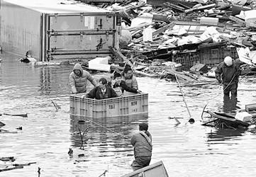 ��˯�����ƺ�����һֻ��