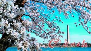 ��ʢ��ӣ���������ձ�