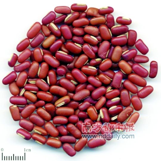 赤小豆煲汤适合大多数