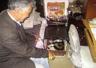 �Ҹ���ͥ���˿ڡ�34