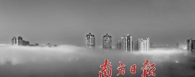 ����ɽ������ѡ������