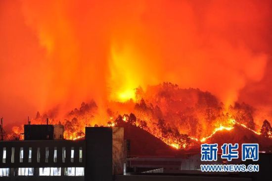 广东惠州学院附近突发山火 系民工焚烧垃圾引