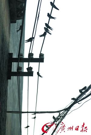 �������ǵ������ڸı�