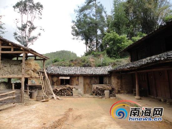 杨善洲:退休23年 造林5.6万亩 价值3亿元