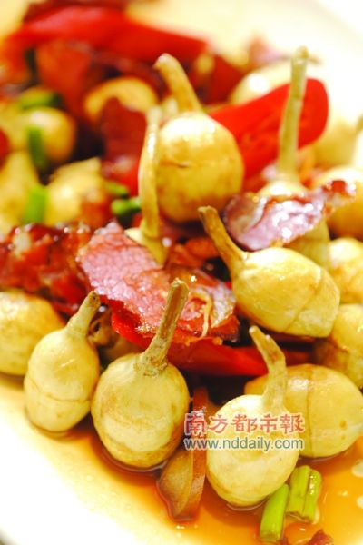 味在美食心随天籁