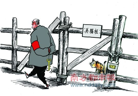 ��ţ����è��������������