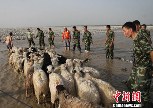 ������ʲ��ͻ����ˮ�½�ī��4�˼�50ֻ������