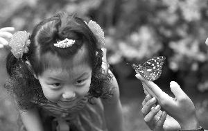 ��ɽ��������