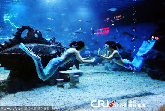 天津:国内最大单体极地海洋世界上演美人鱼表
